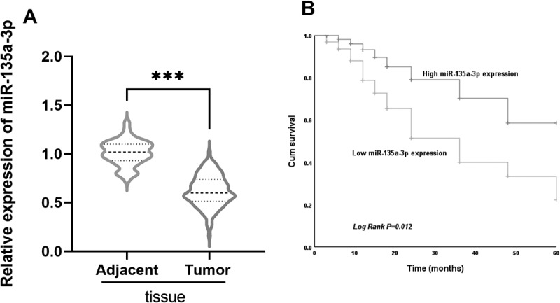 MiR-135a-3p inhibits the progression of prostate cancer by targeting TLR4.