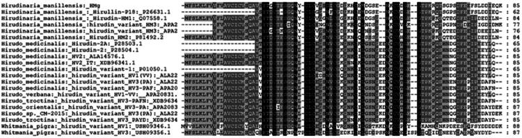 Production and functional characteristics of a novel hirudin variant with better anticoagulant activities than bivalirudin.