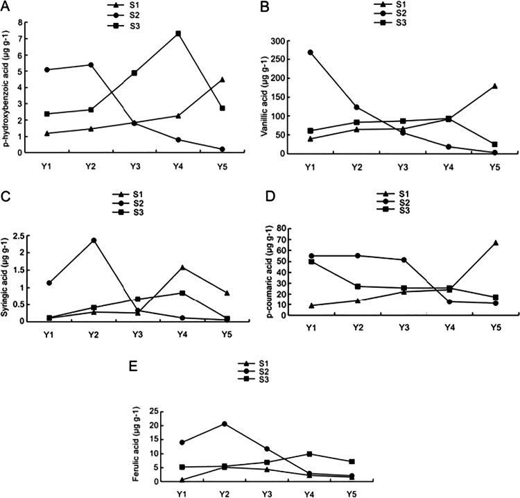 Phenolic acid reduction in <i>Fritillaria taipaiensis</i> rhizosphere via organic fertilization.