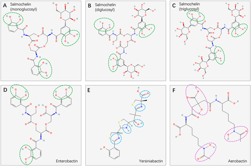 Siderophores and beyond: A comprehensive review of iron acquisition in <i>Klebsiella pneumoniae</i>.