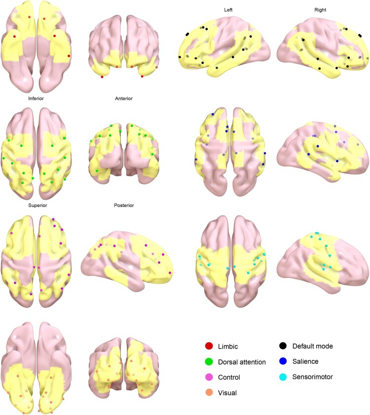 Brain network controllability in genetic risk, childhood abuse, and adult anxiety.