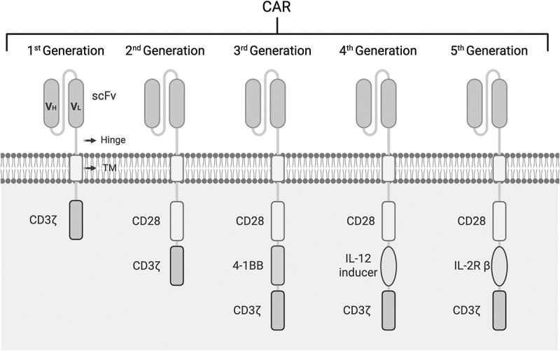 In vivo CAR-T cell therapy: New breakthroughs for cell-based tumor immunotherapy.