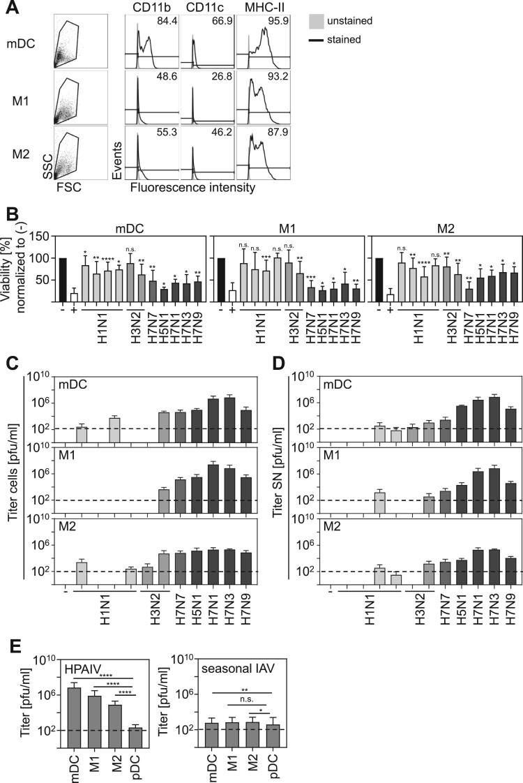 Influenza A virus-induced interferon-alpha production by myeloid dendritic cells and macrophages requires productive infection.