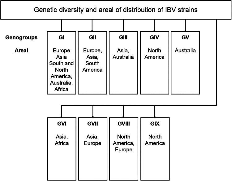 Farm animal coronaviruses: the solution is in vaccines.