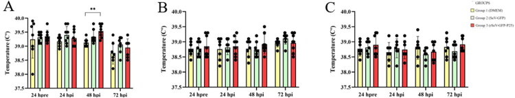 Immunogenicity, security and protection against small ruminant lentivirus (SRLV) challenge in sheep, induced by intranasal immunization with a recombinant Sendai virus vector expressing SRLV gag-P25.