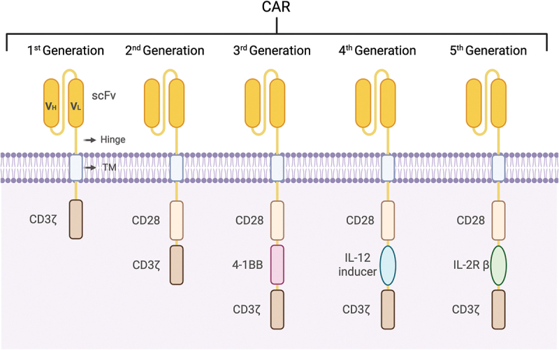 In vivo CAR-T cell therapy: New breakthroughs for cell-based tumor immunotherapy.
