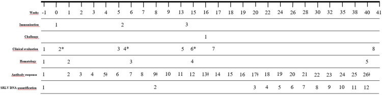 Immunogenicity, security and protection against small ruminant lentivirus (SRLV) challenge in sheep, induced by intranasal immunization with a recombinant Sendai virus vector expressing SRLV gag-P25.