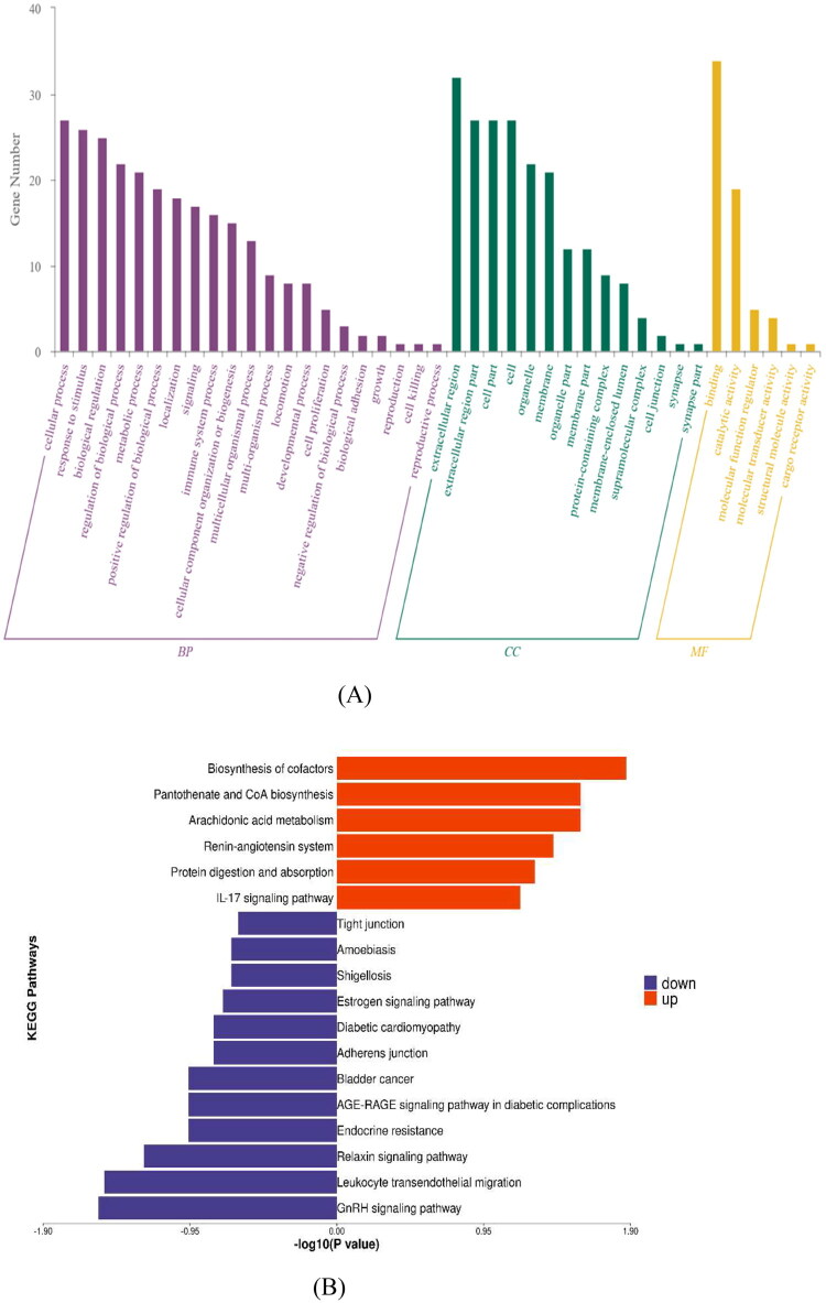 Integrated lipidomics and proteomics analysis in the cardiac surgery-associated acute kidney injury.