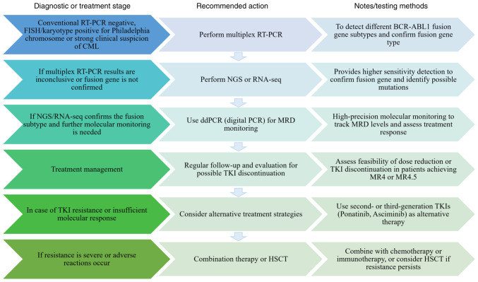 The silent players: Atypical <i>BCR‑ABL </i>isoforms as biomarkers and therapeutic hurdles in CML pathogenesis (Review).