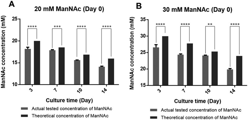 ManNAc attenuates Man5 glycoform abundance through GNE-mediated metabolic channeling of UDP-GlcNAc to N-glycosylation modifications via CMP-Neu5Ac biosynthesis.