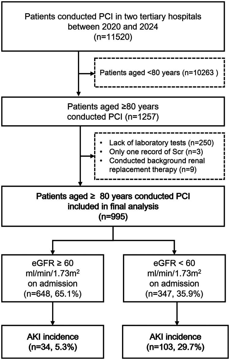 Acute kidney injury among patients aged over 80 years after percutaneous coronary intervention: a multicenter, retrospective cohort study.