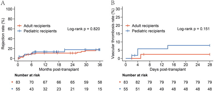 Outcomes of single kidney transplantation from small pediatric donors aged <5 years: comparative analysis between pediatric and adult recipients.