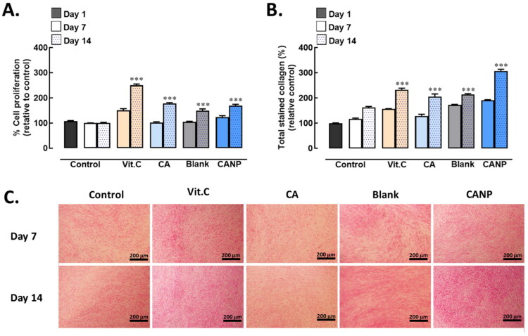 Transfersomal delivery of <i>Centella asiatica</i> promotes efficient excision wound healing in rats.