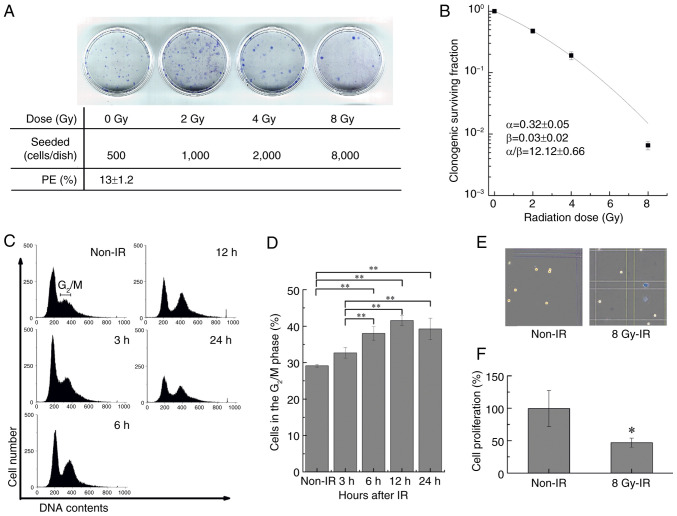 Relationship between amino acid transporter activity and radioactive iodine therapy efficacy in differentiated thyroid cancer.