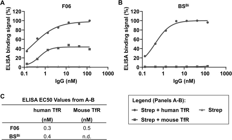 A pH-sensitive binding modality allows successful transferrin receptor-mediated transcytosis of a bivalent antibody across brain barriers.