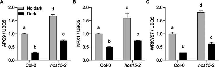 HOS15 together with PWR-HDA9 positively regulates dark-induced senescence in Arabidopsis.