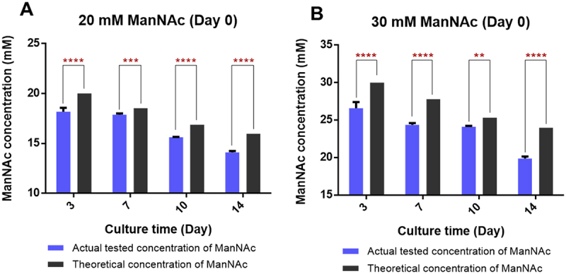 ManNAc attenuates Man5 glycoform abundance through GNE-mediated metabolic channeling of UDP-GlcNAc to N-glycosylation modifications via CMP-Neu5Ac biosynthesis.