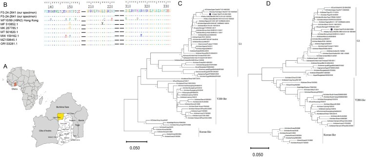 Characterization of the first detected Avian Influenza A(H9N2) human case in Ghana.