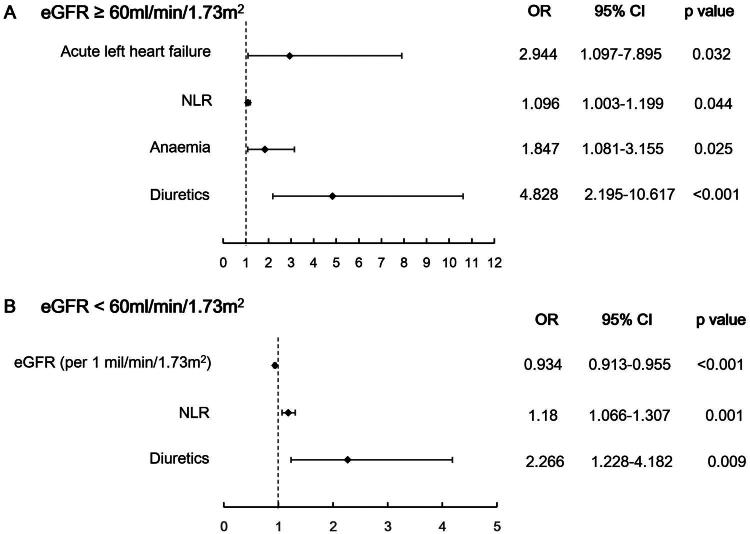 Acute kidney injury among patients aged over 80 years after percutaneous coronary intervention: a multicenter, retrospective cohort study.