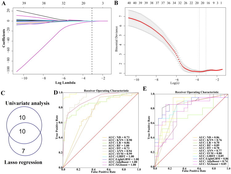 Predicting six-month mortality in adult hemophagocytic lymphohistiocytosis with machine learning: a prognostic approach utilizing laboratory data.