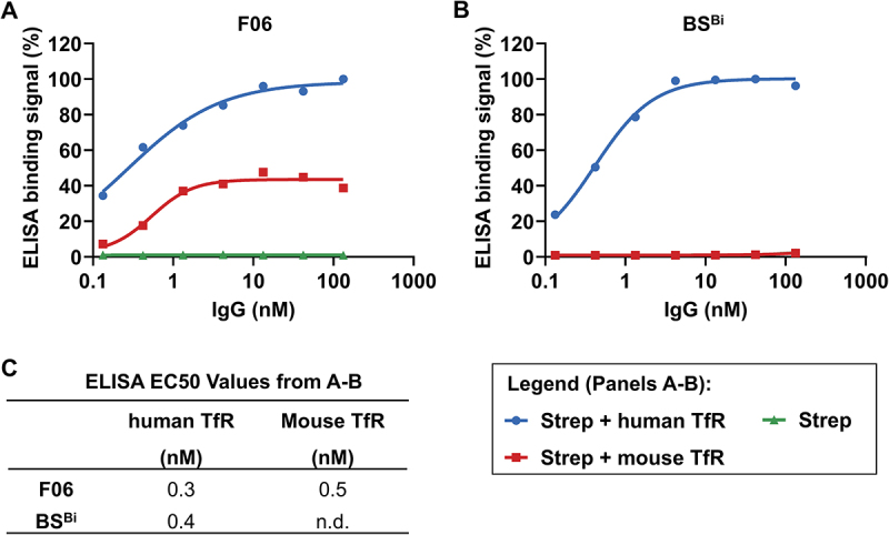 A pH-sensitive binding modality allows successful transferrin receptor-mediated transcytosis of a bivalent antibody across brain barriers.