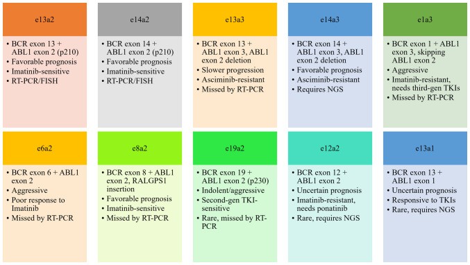 The silent players: Atypical <i>BCR‑ABL </i>isoforms as biomarkers and therapeutic hurdles in CML pathogenesis (Review).