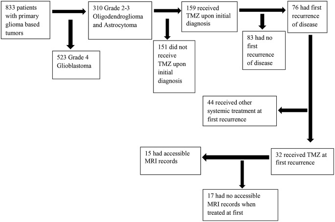 Effects of re-challenge with temozolomide in grade 2/3 IDH mutant gliomas at first progression.