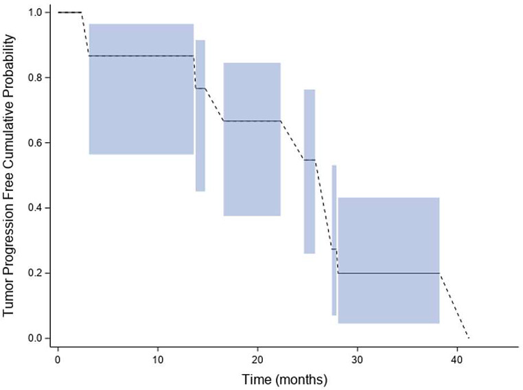 Effects of re-challenge with temozolomide in grade 2/3 IDH mutant gliomas at first progression.