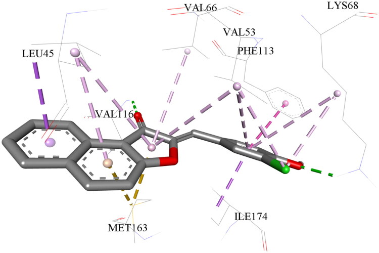 Discovery of new aurone derivatives as submicromolar CK2 inhibitors.
