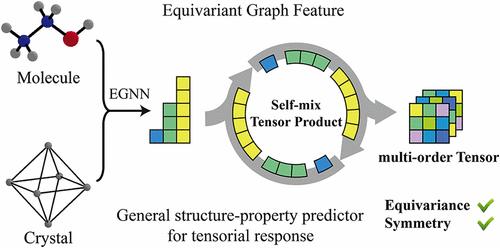 General Framework for Geometric Deep Learning on Tensorial Properties ...