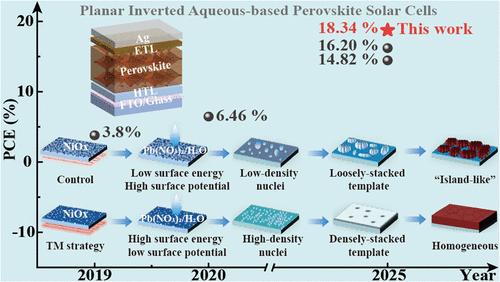 How to Construct Efficient Planar Inverted Aqueous-Based Perovskite ...