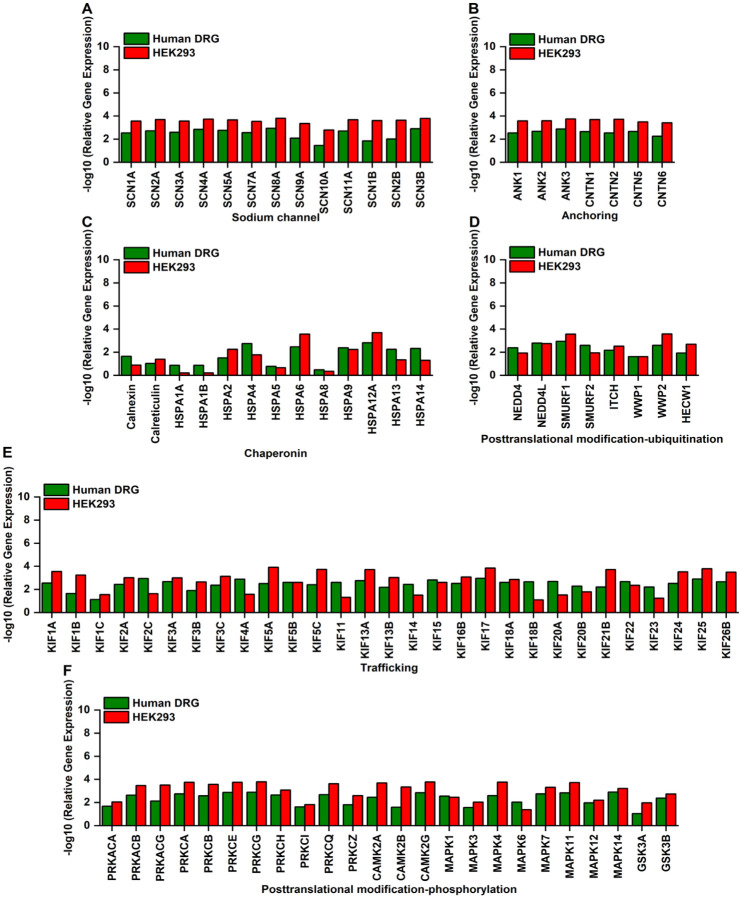 Comprehensive Proteomic Profiling of Human Nav1.7-Interacting Proteins Reveals Conserved Regulatory Networks Involved in Nociceptive Signaling.