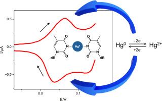 Detection of thymine stretches in DNA oligonucleotides at the surface of hanging mercury drop electrode using thymine-mercury base pair formation
