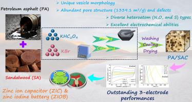 Vesicular porous carbon with outstanding electrochemical performances in Zn-based devices: Extracted from asphalt and wood precursors
