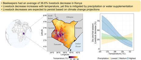Climate effects on honey bees can be mitigated by beekeeping management in Kenya