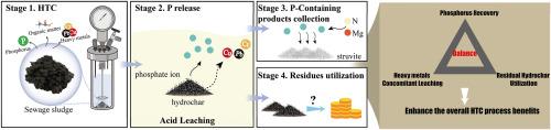 Phosphorus recovery from sewage sludge-derived hydrochar: Balancing phosphorus recovery, heavy metal concomitant leaching and residual hydrochar utilization
