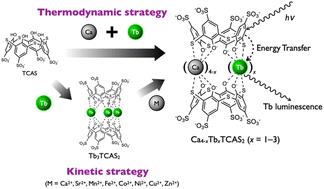 Selective arrangement of three types of calcium–terbium tetranuclear cores by a thiacalixarene ligand using thermodynamic and kinetic strategies†