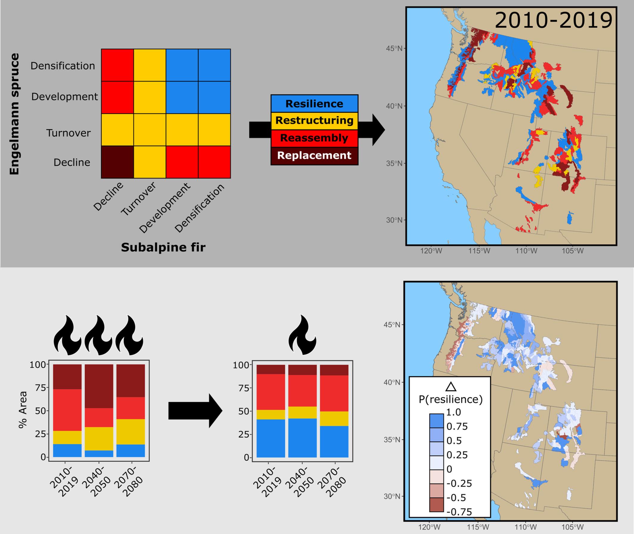 Reducing Fire Severity and Extent Bolsters Subalpine Forest Resilience to Global Change Through Key Demographic Pathways