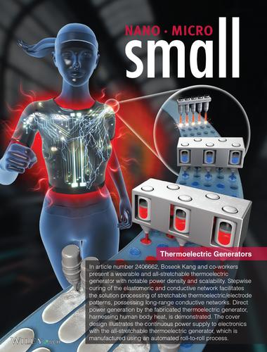 Stepwise Curing Induced All-Stretchable Thermoelectric Generator of High Power Density (Small 5/2025)
