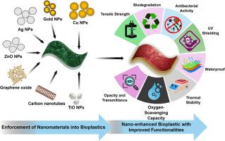 Advanced nano-enhanced bioplastics for smart food packaging: Enhancing functionalities and sustainability