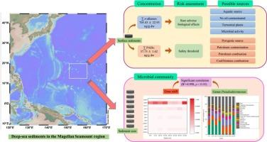 Occurrence, source, and microbial-driven fate of aliphatic and polycyclic aromatic hydrocarbons in sediments in the Magellan seamount region