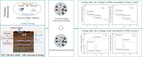 Freeze-thaw cycles affect hydrothermal and heavy metal transport mechanisms in porous media: Closed and transient flooded system conditions