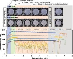 Supersaturated carbon-dioxide-enhanced backwash of ceramic microfiltration membranes