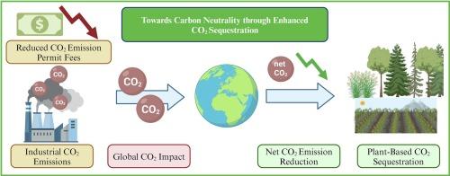 Towards carbon neutrality: Enhancing CO2 sequestration by plants to reduce carbon footprint