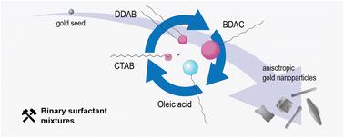 Synthesis of anisotropic gold nanoparticles in binary surfactant mixtures: a review on mechanisms of particle formation