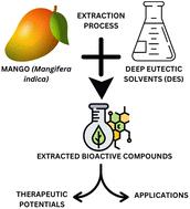 A review on the role of deep eutectic solvents in mango (Mangifera indica) extraction