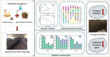 Industrial-scale aerobic composting with the addition of Paenibacillus mucilaginosus: Improving product quality and removing antibiotic resistance genes