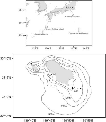 Application of DNA Methylation–Based Age Estimation to Construct an Age Structure of Humpback Whales in a Newly Emerged Wintering Ground Around Hachijojima Island, Tokyo Metropolis, Japan