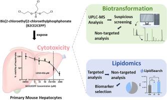 Biotransformation of bis(2-chloroethyl)2-chloroethylphosphphonate, and its effects on metabolism of lipid molecules in primary mouse hepatocytes