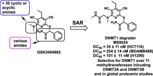 Structure–Activity Relationship Studies of DNA Methyltransferase 1 Monovalent Degraders